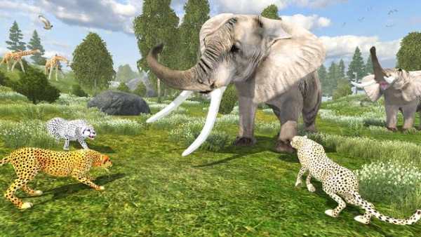 Wild Cheetah Simulator screenshot 3