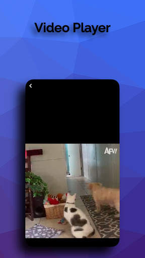 face video story Download screenshot 14