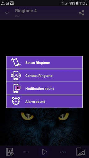 Owl - RINGTONES and WALLPAPERS screenshot 4