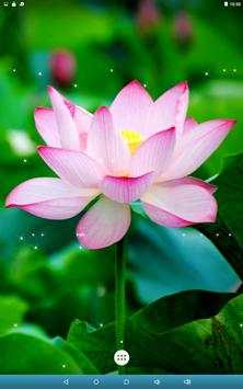 Lotus Live Wallpaper screenshot 10
