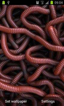 Can of Worms Live Wallpaper screenshot 1