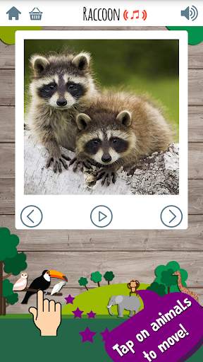 Kids Zoo Game: Educational gam screenshot 11