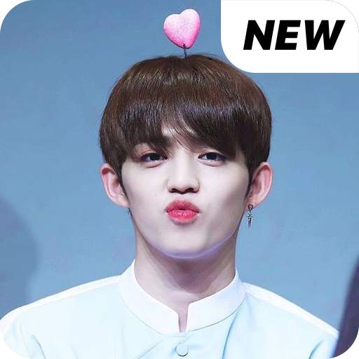 Seventeen Hoshi wallpaper Kpop HD new 1.0