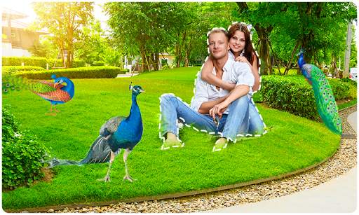 Peacock Photo Frames screenshot 2