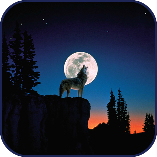10000 WildLife Wallpapers иконка
