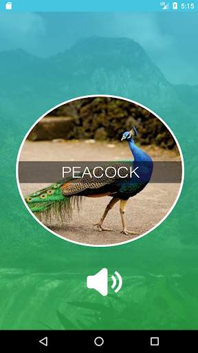Birds Sounds App स्क्रीनशॉट 5