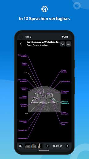 vet-Anatomy screenshot 7