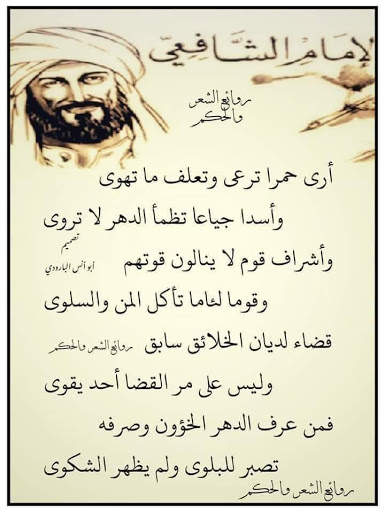 خيول المجد العربي скриншот 8