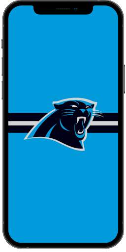 Carolina Panthers Wallpaper 4K screenshot 2