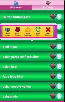 Birds sounds Ringtones screenshot 4