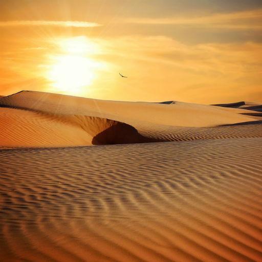 Desert Wallpapers icon