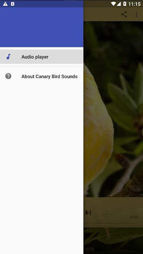 Canary Bird Sounds Real screenshot 2