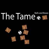 Tame ini - Bola dan Boxes logo