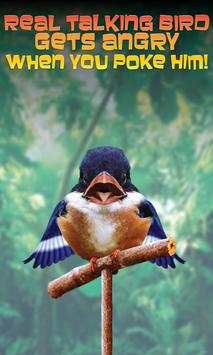 Real Talking Bird screenshot 4