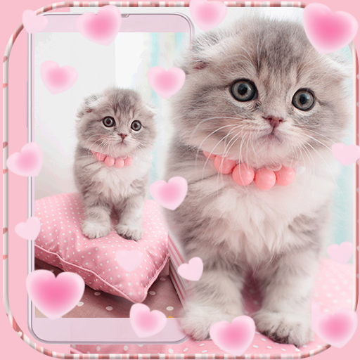 Pink Cute Kitty Cat Theme icon