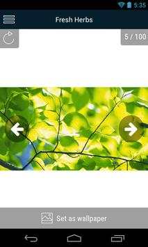 Fresh Herbs Wallpapers screenshot 1