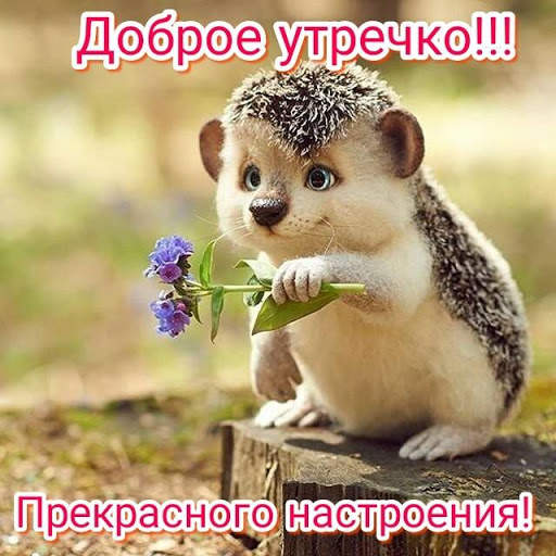 Доброе Утро Открытки 9 تصوير الشاشة