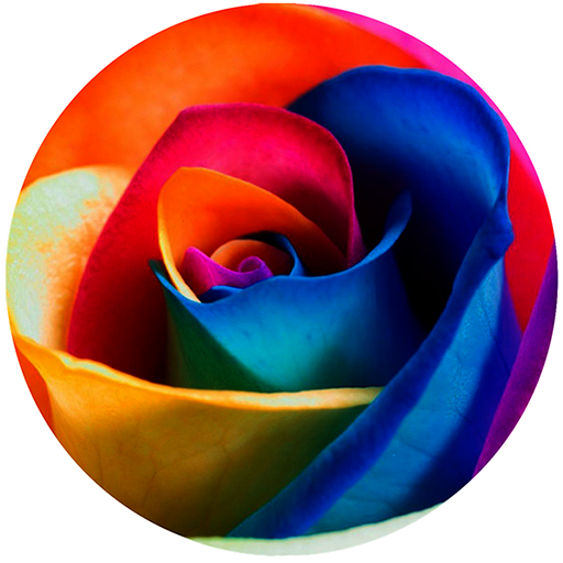 Rose Tv Online icon