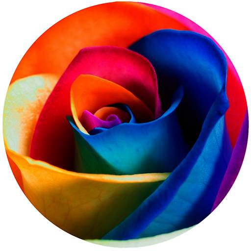 Rose Tv Online 1.3