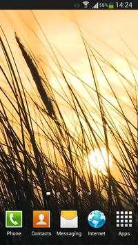 Grass Live Wallpaper HD screenshot 2