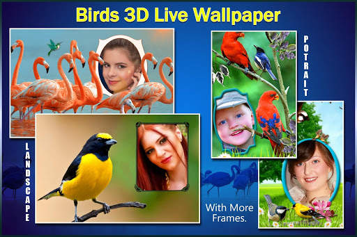 Birds 3D Live Wallpaper screenshot 11