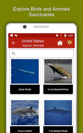 United States Travel & Explore, Offline Guide screenshot 13