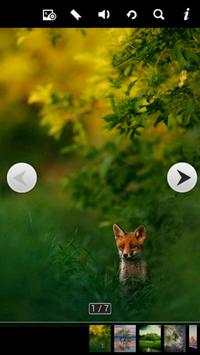 The sounds of Nature and Music screenshot 2