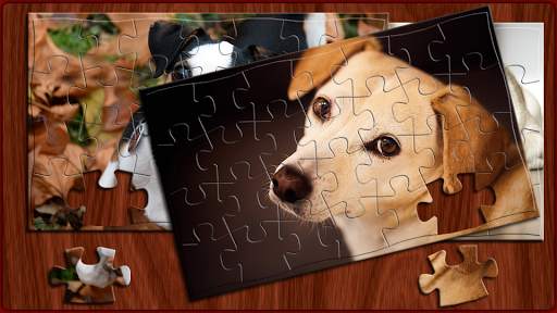 Puzzle Rompecabezas Dogs (Offline) screenshot 4