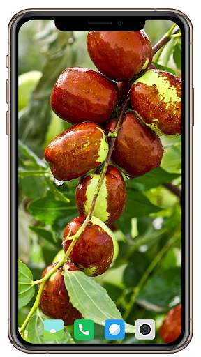 Fruit Trees Wallpaper HD screenshot 3