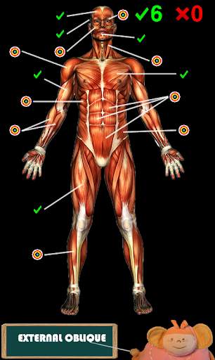 Funny anatomy screenshot 7