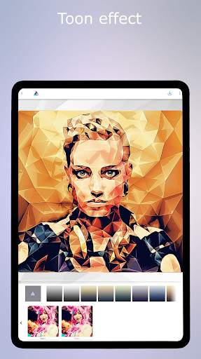 Low Poly - Editor & Photo FX screenshot 14