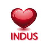 Indus icon