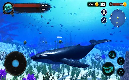 The Humpback Whales screenshot 23