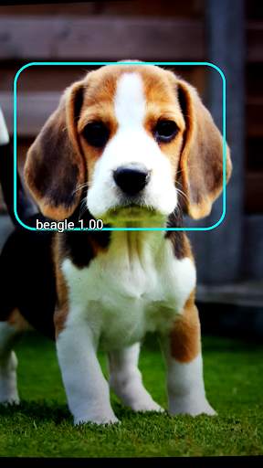 Pet Detect screenshot 1