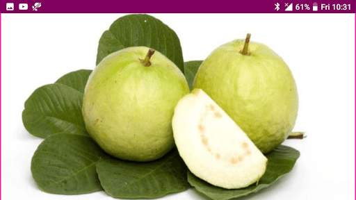 Learn Tamil Fruits and Vegetables Names screenshot 13
