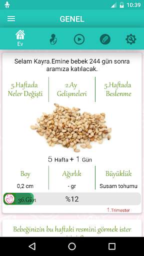 Hafta Hafta Gebelik Takibi screenshot 1