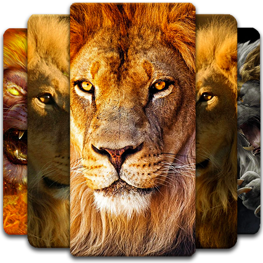 Lion Wallpaper icon