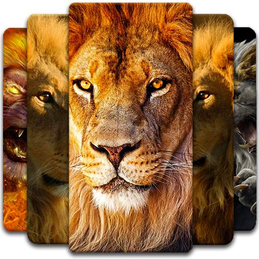 Lion Wallpaper 1.0