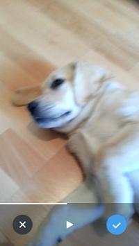 TCamera screenshot 4