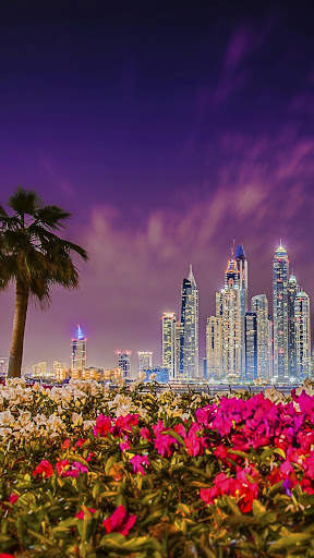 HD Dubai wallpaper screenshot 8
