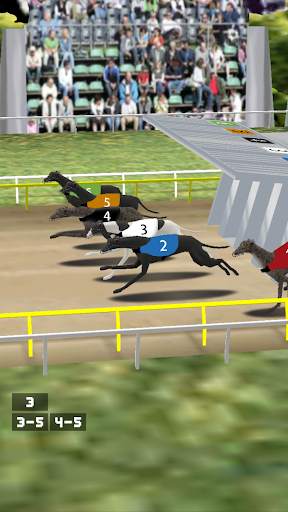 Simple Greyhound Racing screenshot 3