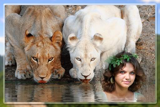 Wild Animals Photo Frames screenshot 5