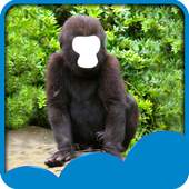 Animal Face Photo Editor 1.7