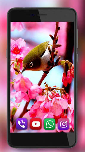 Birds Amazing Live Wallpaper screenshot 2