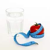 Secret Weight Loss Tips - Herbal Method 1.0.1