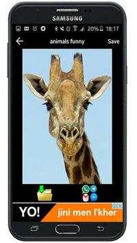 animals funny gif screenshot 5
