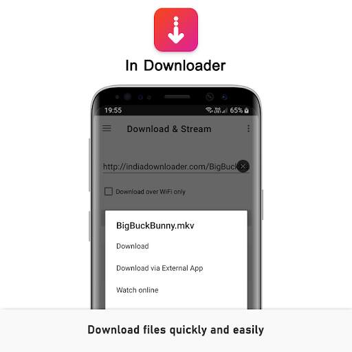 In Downloader - File download  screenshot 2