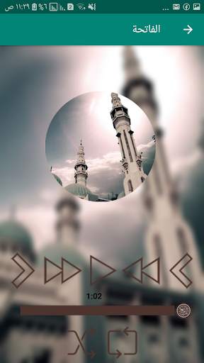 Quran Mp3 Download screenshot 3