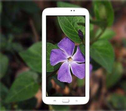 Pro HD Camera screenshot 3