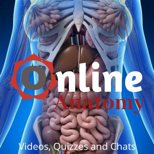 ONLINE Anatomy - Videos, Quizzes and Chats. 1.0